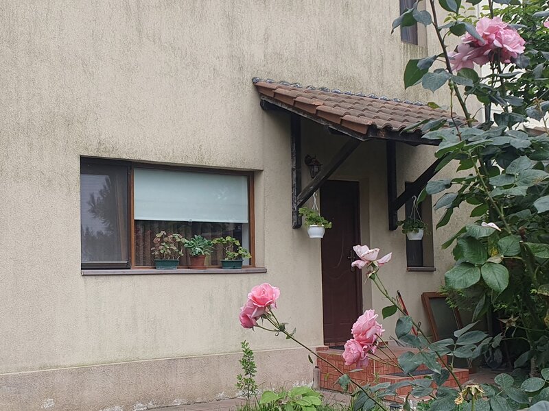 1 Decembrie, Green City